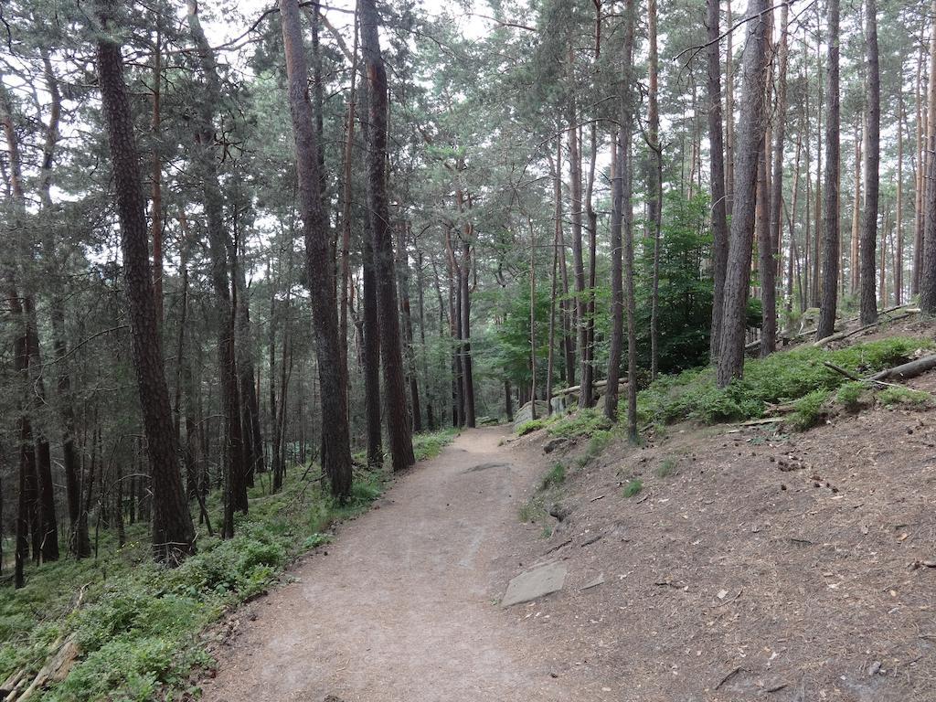 Landgasthof Jaegerstuebchen Neustadt an der Weinstraße Екстериор снимка